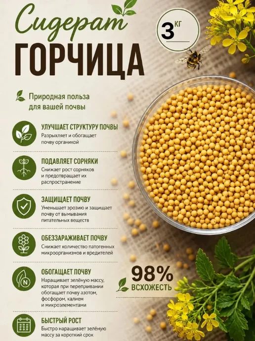 Siderat Горчица семена сидерат 1 кг, 3 кг