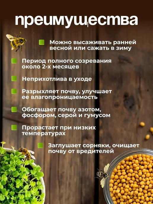 Siderat Горчица семена сидерат 1 кг, 3 кг, фото 4