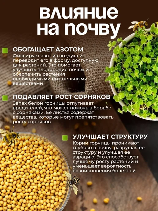 Siderat Горчица семена сидерат 1 кг, 5 кг, фото 3
