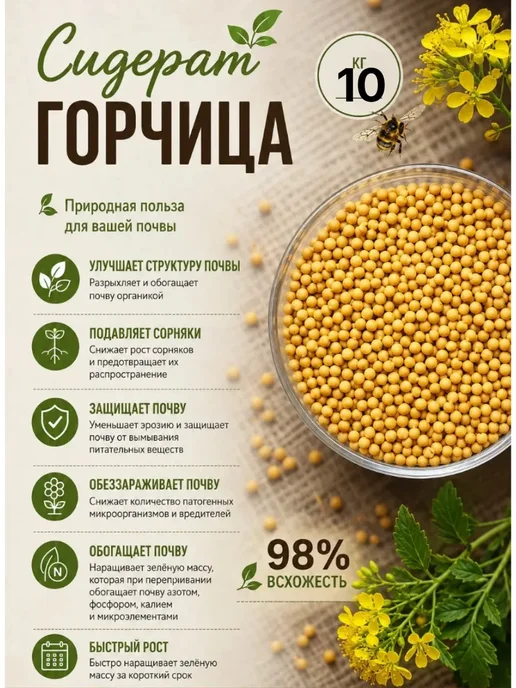 Siderat Горчица семена сидерат 1 кг, 10 кг