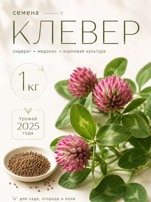 Клевер красный семена 1 кг, 1 кг