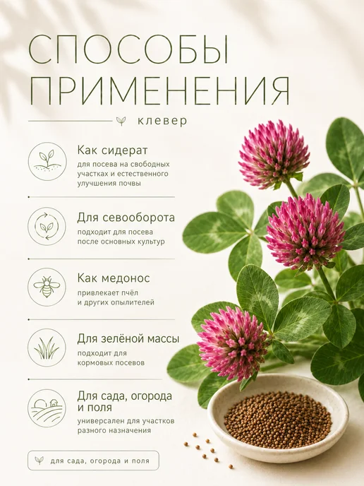 Клевер красный семена 1 кг, 1 кг, фото 3