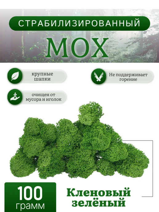 Rumoss Стабилизированный мох отборный 100 грамм зеленый папоротник, зеленый