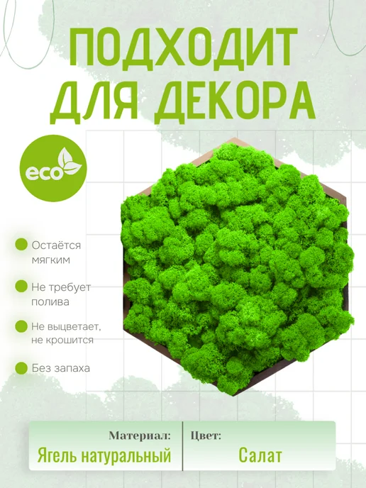 Rumoss Стабилизированный мох отборный 100 грамм зеленый папоротник, зеленый, фото 2