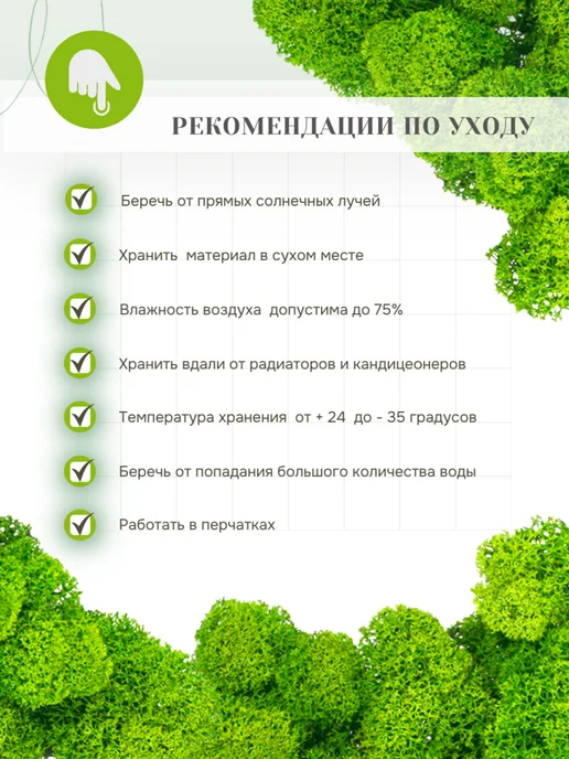 Rumoss Стабилизированный мох отборный 100 грамм зеленый папоротник, зеленый, фото 3