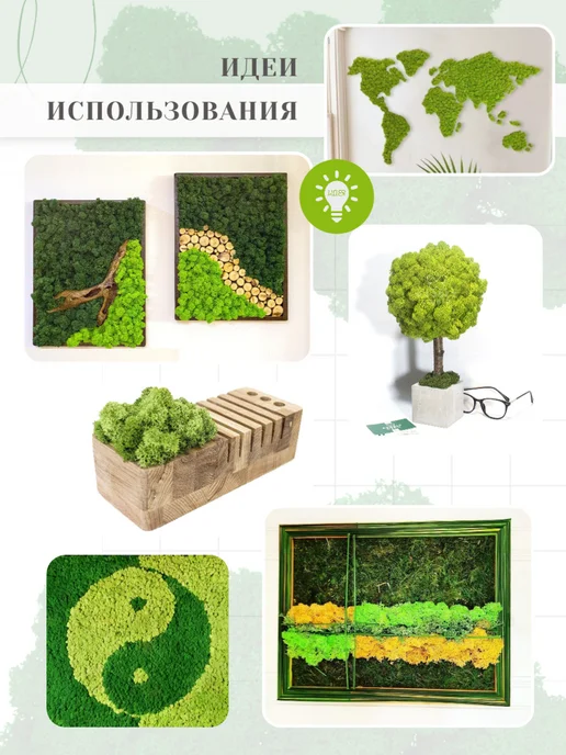 Rumoss Стабилизированный мох отборный 100 грамм зеленый папоротник, зеленый, фото 4