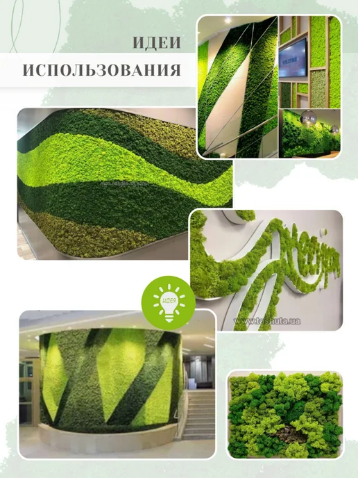 Rumoss Стабилизированный мох отборный 100 грамм зеленый папоротник, зеленый, фото 5