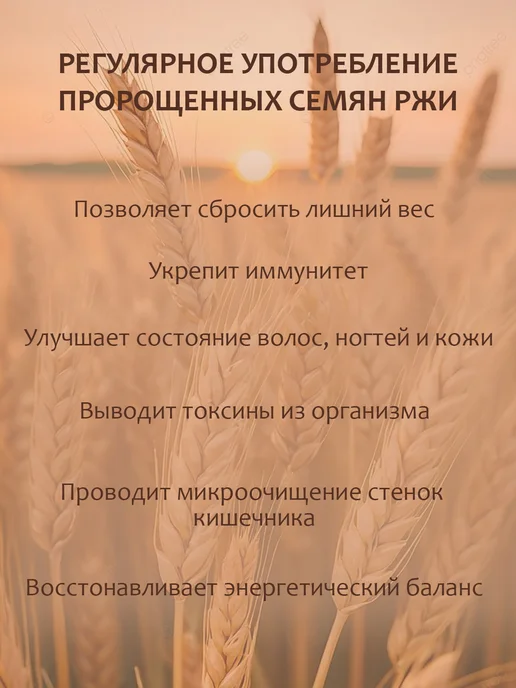 Здоровая жизнь Зёрна пшеницы и ржи пророщенные 35г 4 вкуса по 1 пачке, 35 г, 12 шт, фото 3