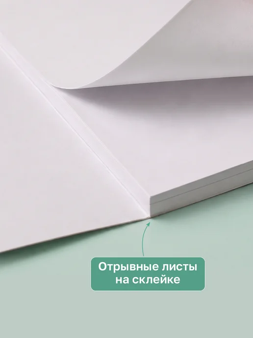 BG Альбом для рисования А4 отрывная склейка 40 листов, вариант, фото 3