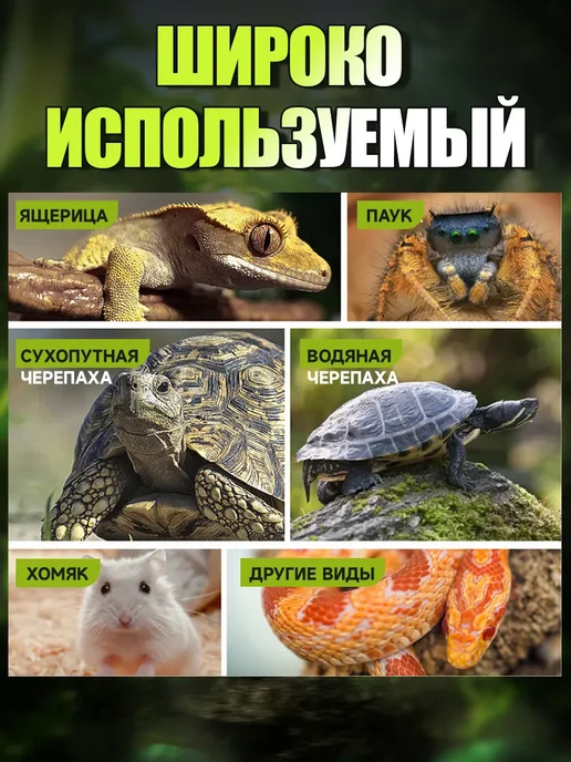 Кормушка поилка для рептилий и черепах в террариум, зеленый, фото 7