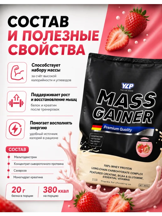 YLP Гейнер для быстрого набора массы 2700г mass gainer, 5 кг, фото 2