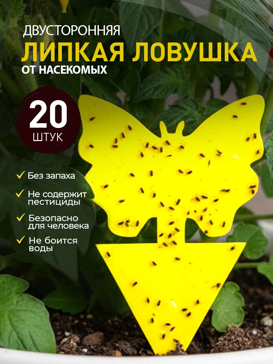 Липкая ловушка от мошек в цветах комнатных
