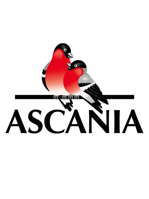 Ascania (12 x 330 мл) Напиток (лесные ягоды) газированный, 12x330, 330 мл, фото 3