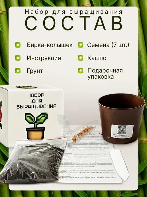 Plant Growing Sets Max Набор для выращивания растений Бамбук, вариант, фото 2
