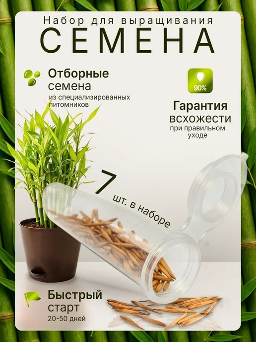 Plant Growing Sets Max Набор для выращивания растений Бамбук, вариант, фото 3