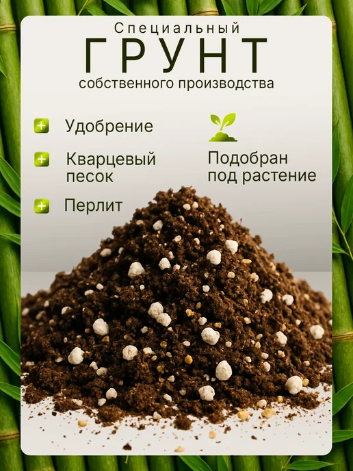 Plant Growing Sets Max Набор для выращивания растений Бамбук, вариант, фото 4