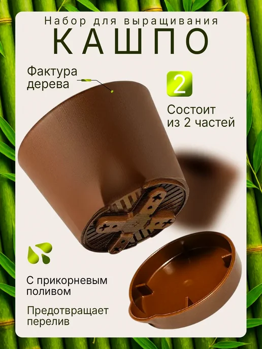 Plant Growing Sets Max Набор для выращивания растений Бамбук, вариант, фото 5