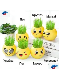 Набор для выращивания