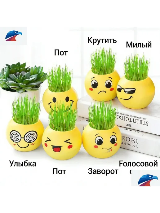 Набор для выращивания, вариант