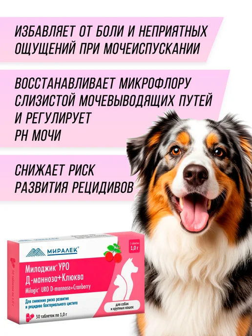 МИРАЛЕК Милоджик Уро Д-манноза + Клюква, 30 таб. для кошек и собак, крупных 30т, фото 2