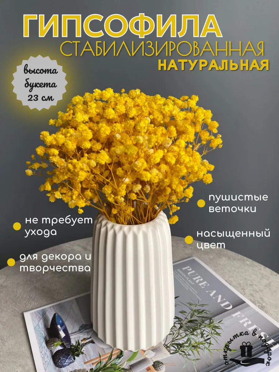 Букет сухоцветов для вазы. Стабилизированные гипсофилы.