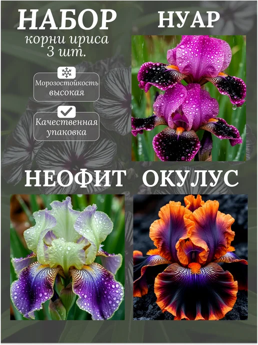 Корни Ириса Микс, вариант