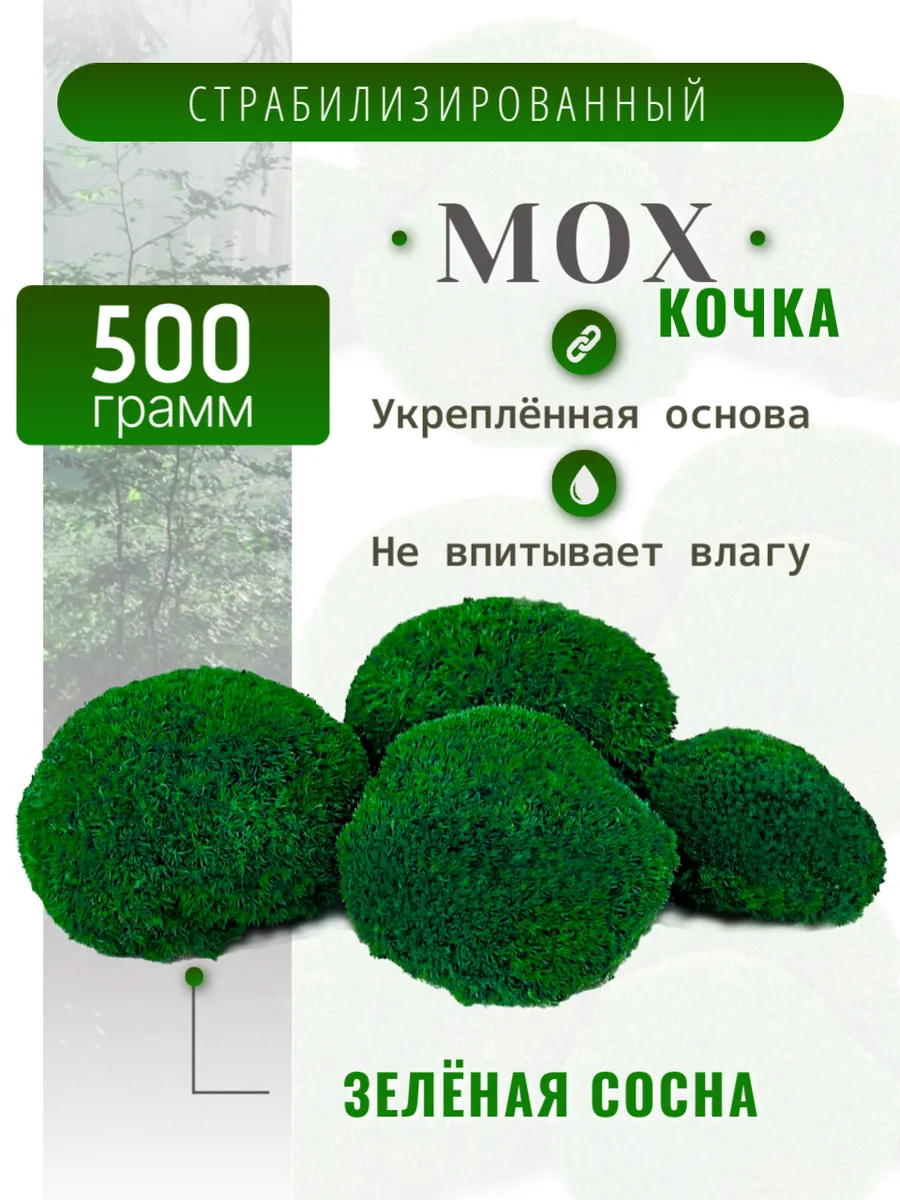 Стабилизированный мох кочковой 0,5 кг