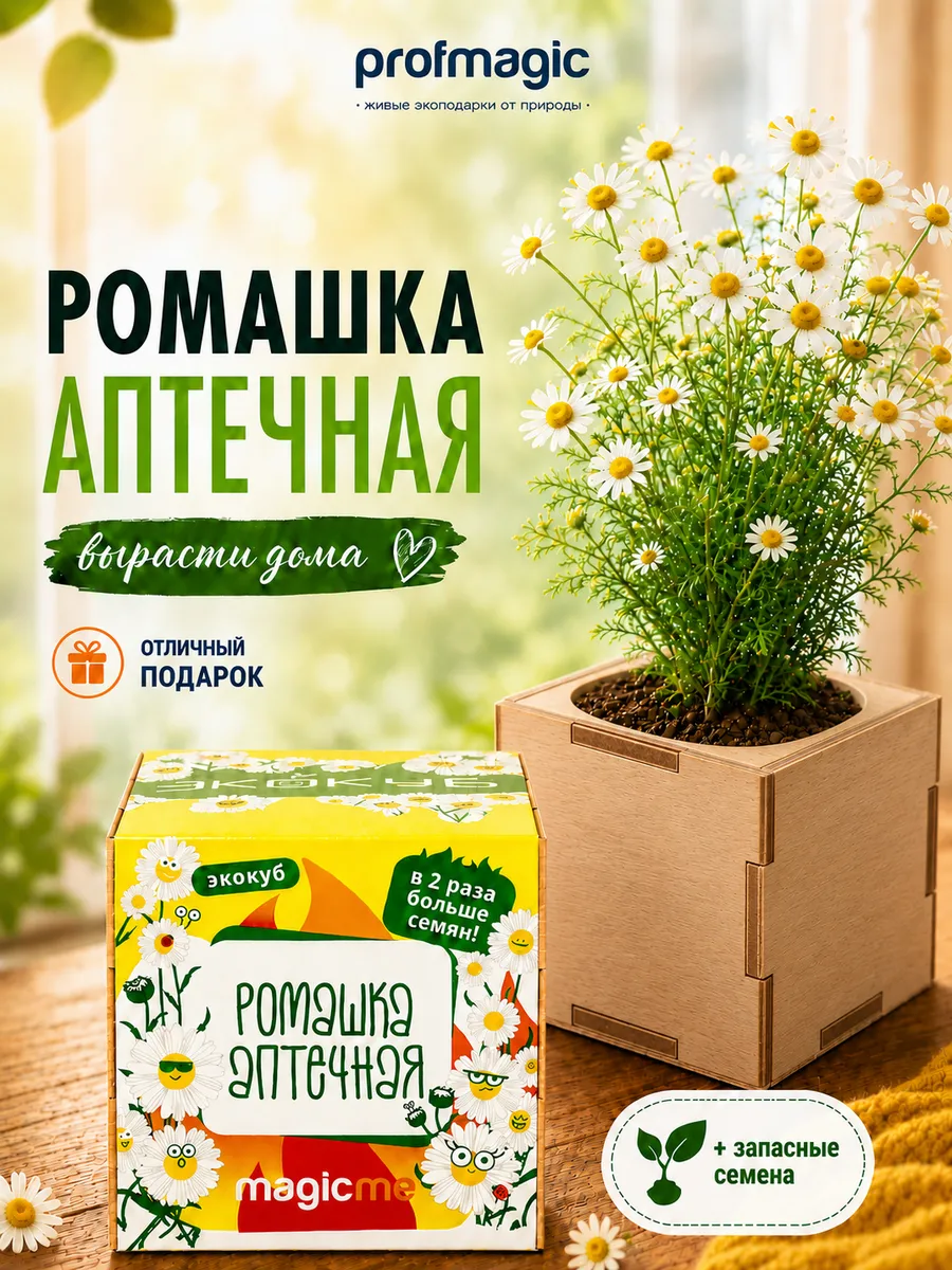Набор для выращивания Экокуб Ромашка