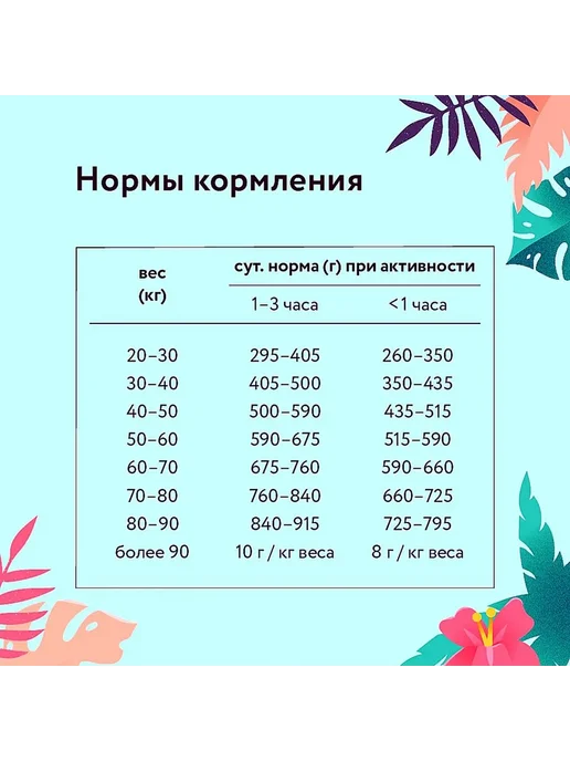 Сухой корм FLORIDA для собак, крупные, 1 кг, фото 4
