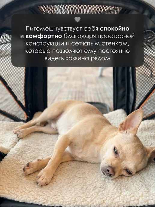 SSY Переноска трансформер с мягкой лежанкой для кошек и собак, серый, фото 6