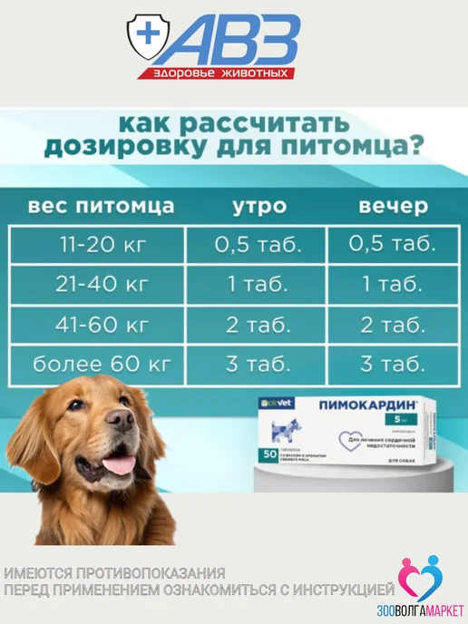 АВЗ Пимокардин для собак при сердечной недостаточности 1,25мг, 5мг лечения у собак, фото 7