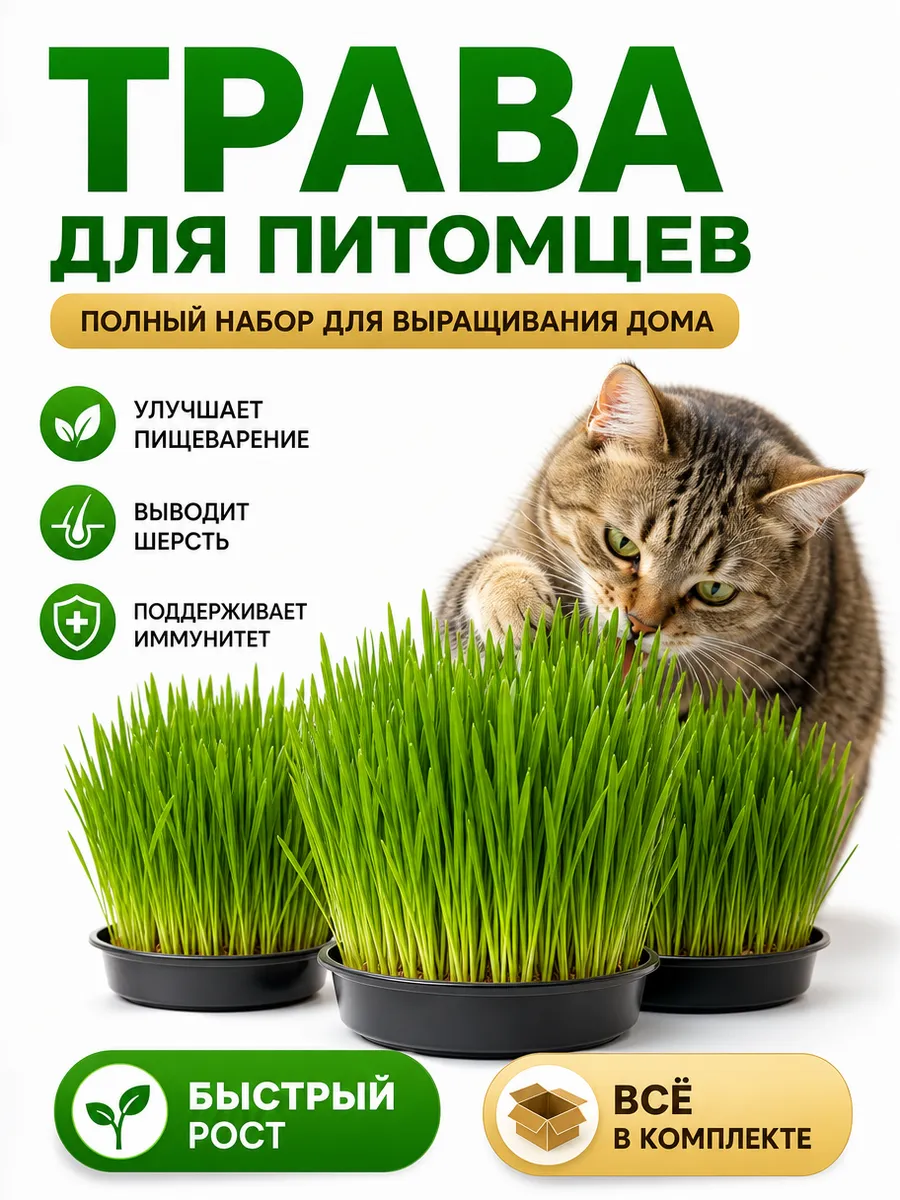 Трава для кошек набор для выращивания