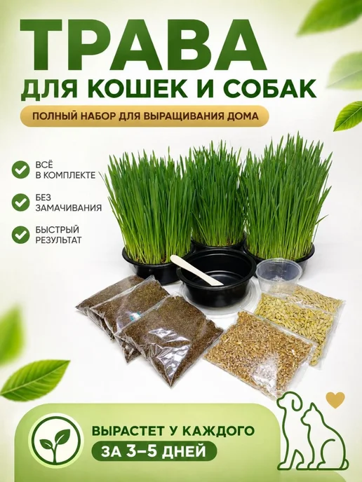 Золотые лапы Трава для кошек набор для выращивания, золотой, фото 2