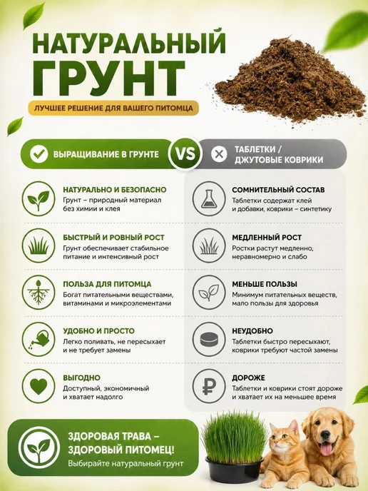 Золотые лапы Трава для кошек набор для выращивания, золотой, фото 3