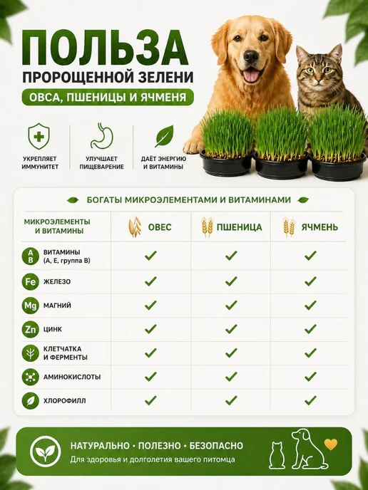 Золотые лапы Трава для кошек набор для выращивания, золотой, фото 7