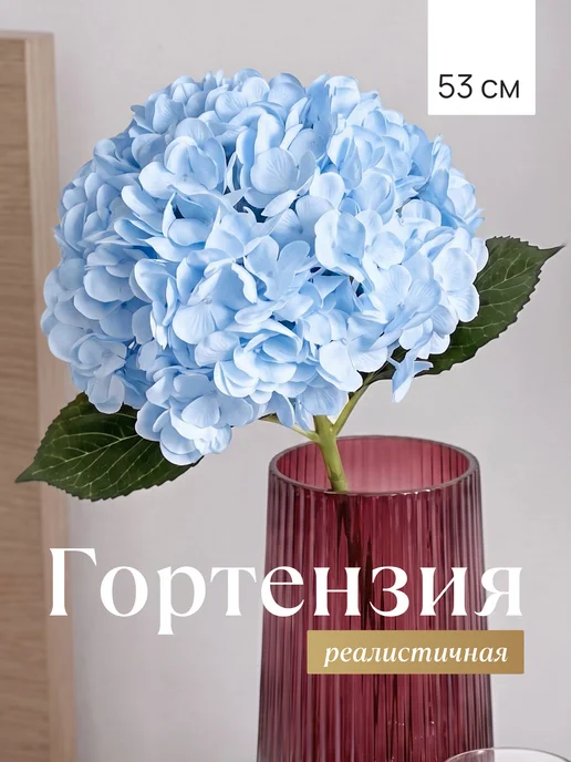 Mara mix Эвкалипт стабилизированный сухоцвет, голубой