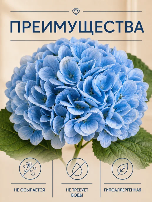 Mara mix Эвкалипт стабилизированный сухоцвет, голубой, фото 3