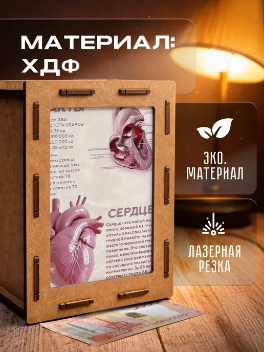 KopiCash Копилка для денег Анатомия эстетика, коричневый, фото 5