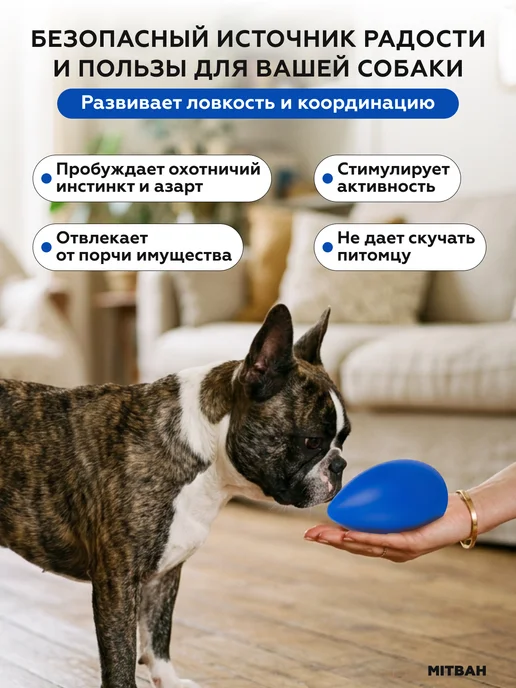 MITBAH Игрушка для собак интерактивная неуловимое яйцо маленькое, синий, фото 3
