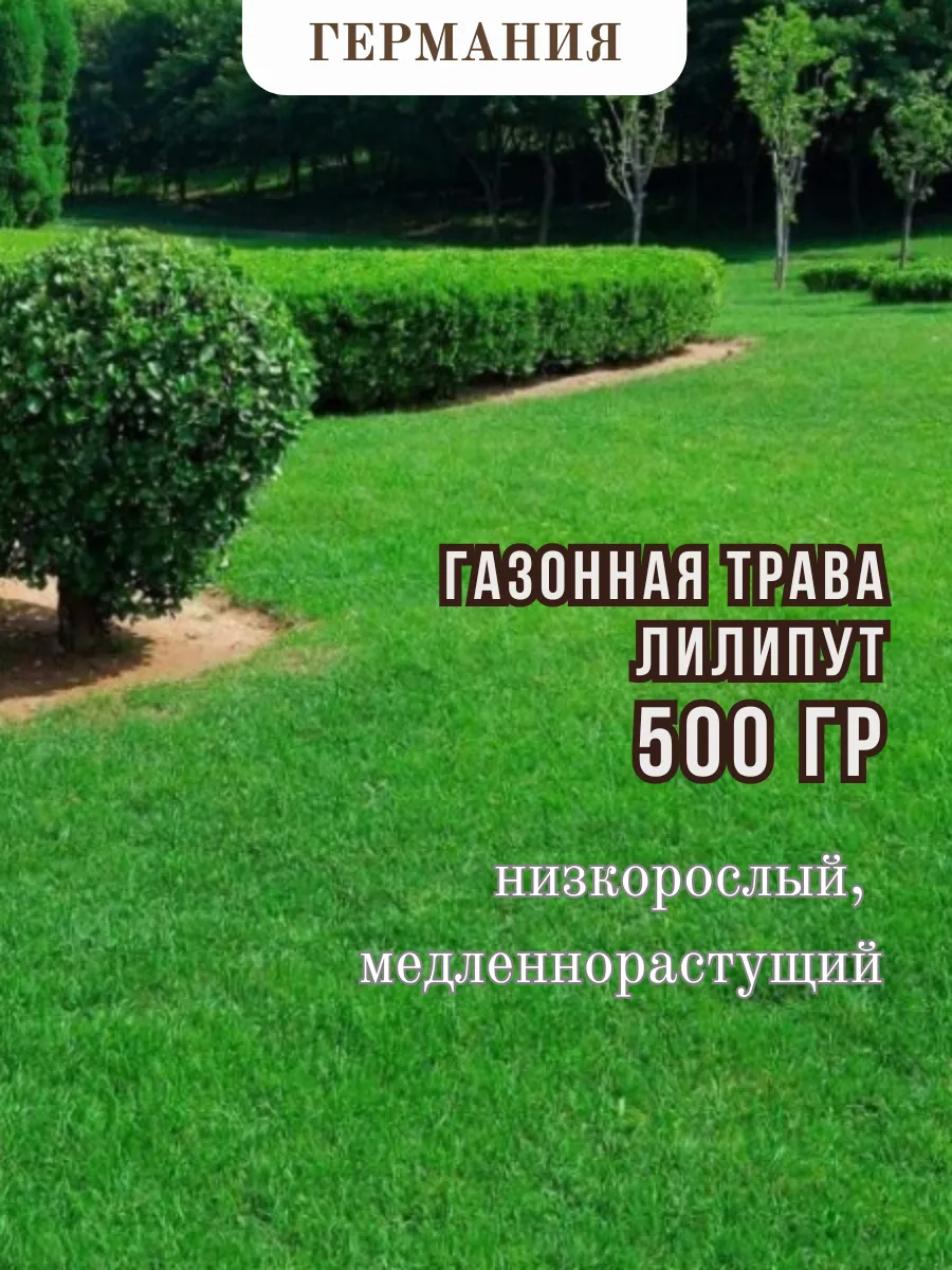 Семена газон низкорослый