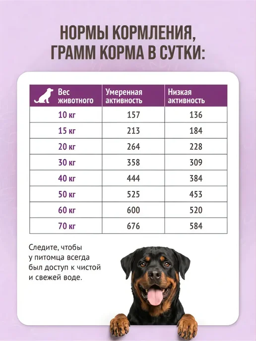 Сухой корм Prime Ever Cредних Подарок для собак, крупные, 2 кг, фото 5