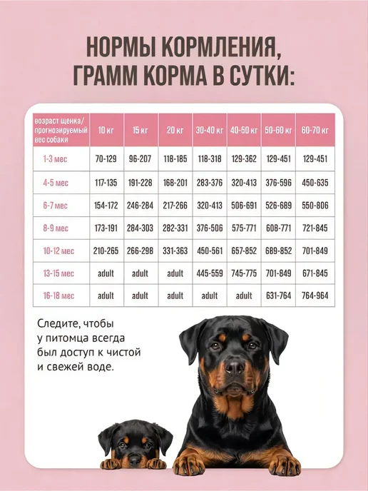 Сухой корм Prime Ever Подарок для собак, крупные, средние, щенки, 2 кг, фото 5