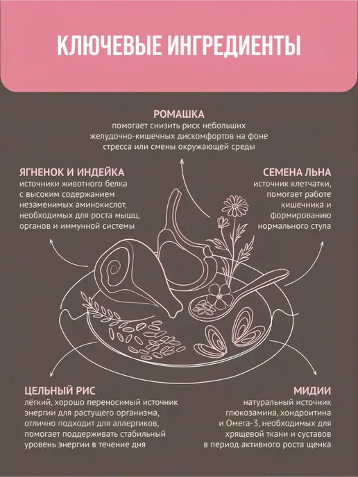 Сухой корм Prime Ever Подарок для собак, крупные, средние, щенки, 2 кг, фото 7
