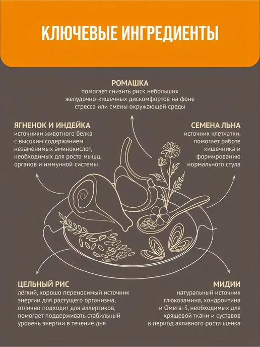 Сухой корм Prime Ever Подарок для собак, мелкие, щенки, 2 кг, фото 7