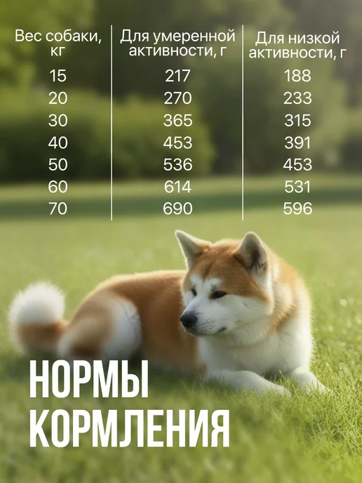 Сухой корм ХАТИКО Super Premium для собак, средние, 2,6 кг, фото 3