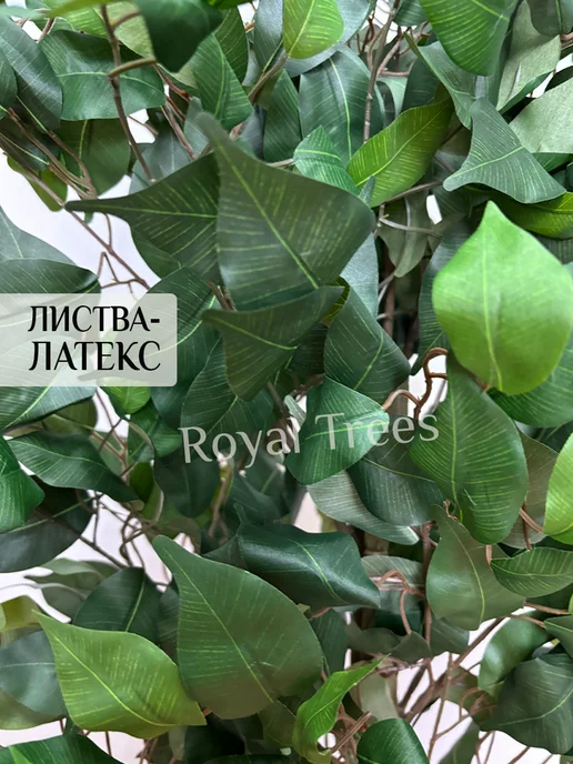 Royal Trees Искусственное дерево Пальма 130см, вариант, фото 5