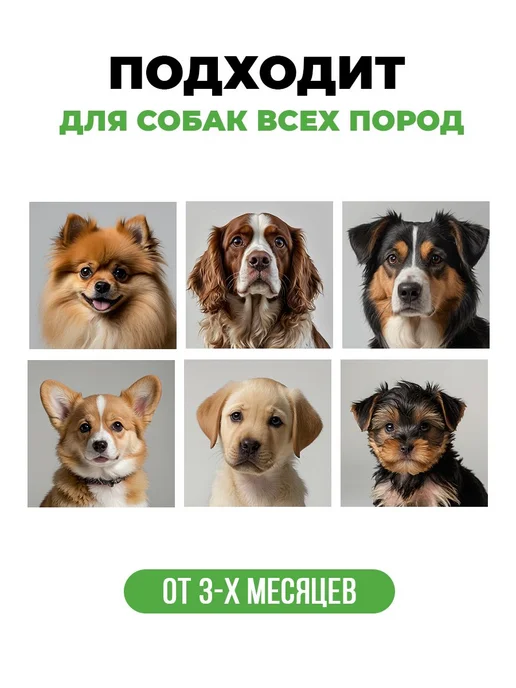 Spets шампунь-кондиционер с пантенолом 500 мл, 500 мл, фото 4