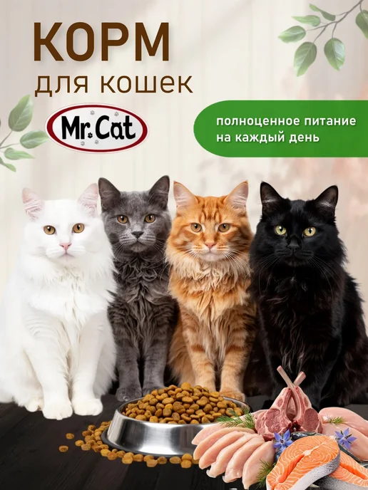 Сухой корм Mr. Cat Кошек Нежная для собак, телятина, 10 кг, фото 2