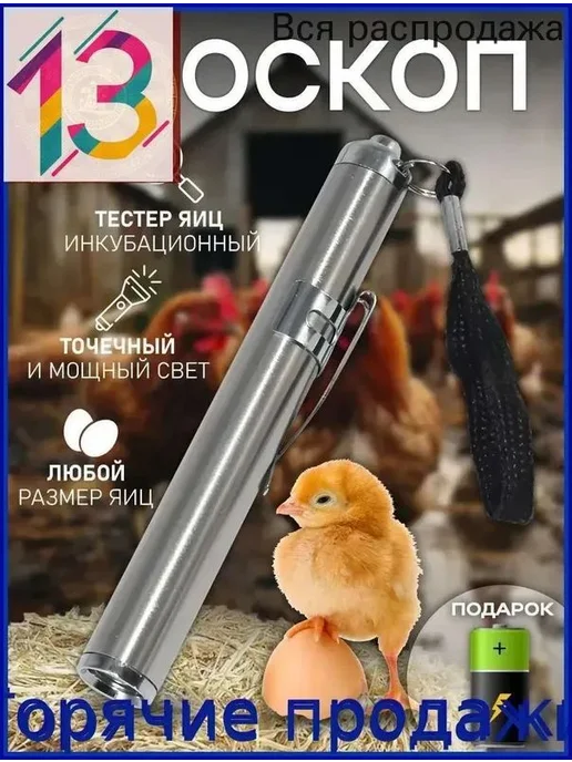 Овоскоп для проверки свежести яиц, вариант