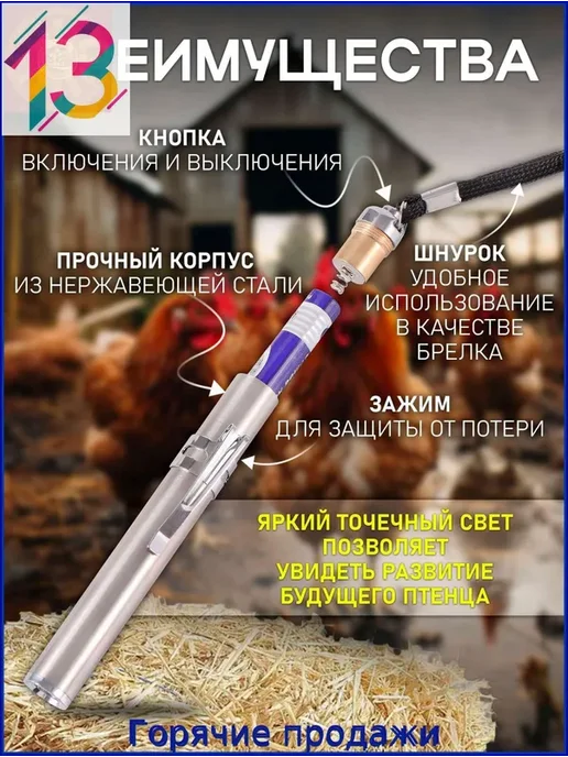 Овоскоп для проверки свежести яиц, вариант, фото 3